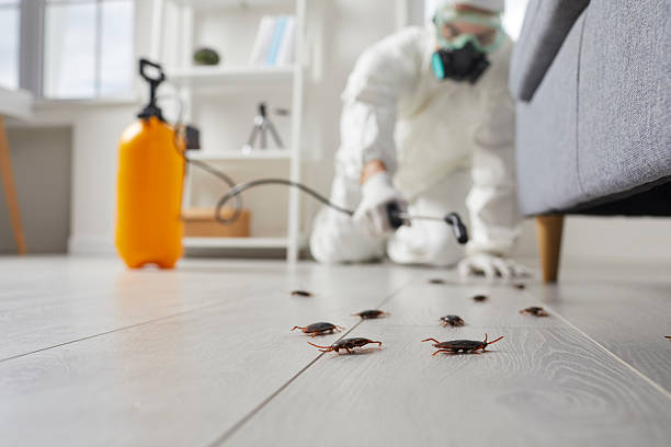 Commercial Kitchen Cockroach Control in Bruceton